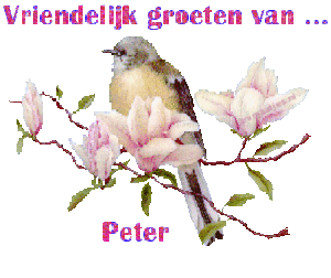 Naamanimaties Peter 