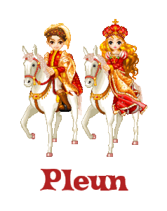 Naamanimaties Pleun 