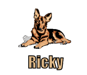 Naamanimaties Ricky 