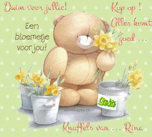 Naamanimaties Rina 