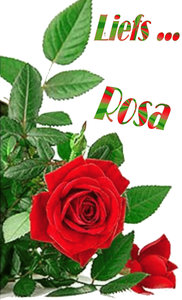 Naamanimaties Rosa 