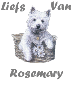 Naamanimaties Rosemary Liefs Van Rosamary