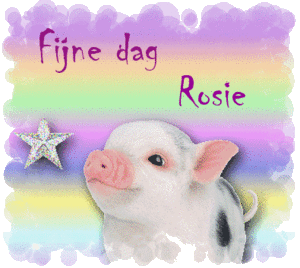 Naamanimaties Rosie Biggetje Fijne Dag Rosie