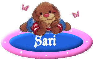 Naamanimaties Sari 
