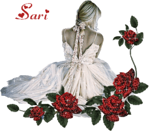 Naamanimaties Sari 