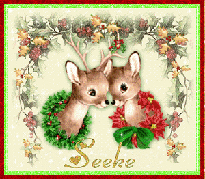 Naamanimaties Seeke 