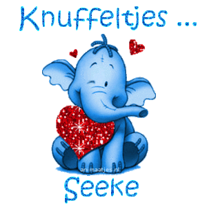 Naamanimaties Seeke 
