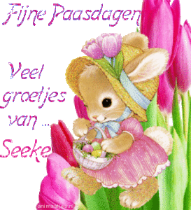 Naamanimaties Seeke 