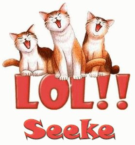 Naamanimaties Seeke 