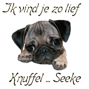 Naamanimaties Seeke 