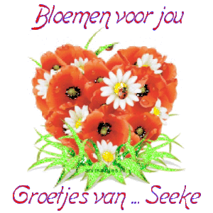 Naamanimaties Seeke 