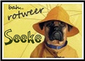 Naamanimaties Seeke 