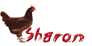 Sharon Naamanimaties 