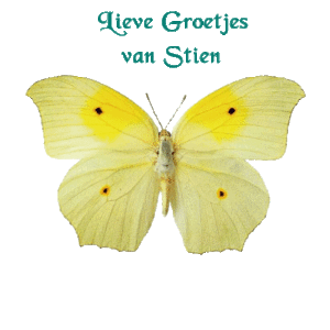 Naamanimaties Stien 
