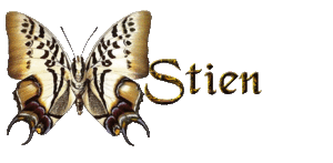 Naamanimaties Stien 
