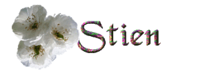 Naamanimaties Stien 