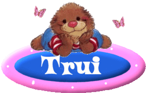 Naamanimaties Trui 