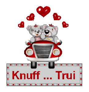 Naamanimaties Trui 