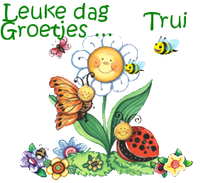 Naamanimaties Trui 