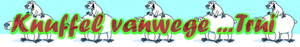 Naamanimaties Trui 