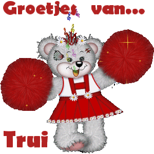 Naamanimaties Trui 