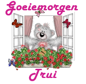 Naamanimaties Trui 