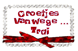 Naamanimaties Trui 