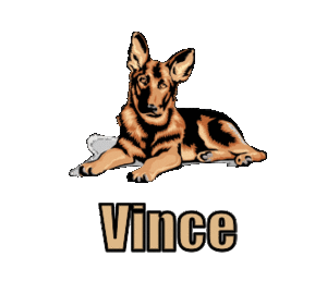 Naamanimaties Vince 