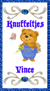 Naamanimaties Vince 
