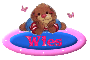 Naamanimaties Wies 
