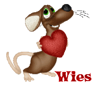 Naamanimaties Wies 
