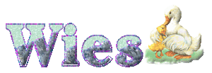 Naamanimaties Wies 