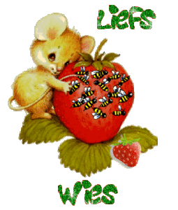 Naamanimaties Wies 