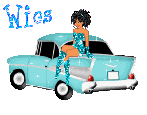 Naamanimaties Wies 