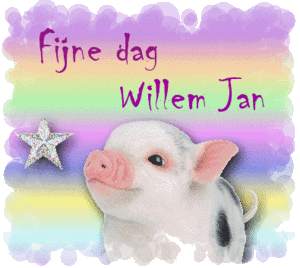 Naamanimaties Willem jan 