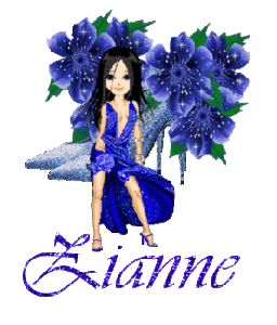 Naamanimaties Zianne Lady In Blauw
