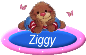 Naamanimaties Ziggy 