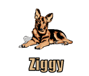 Naamanimaties Ziggy 