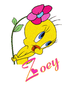 Naamanimaties Zoey 