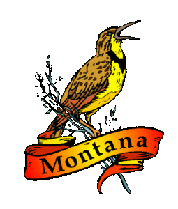 Amerika Plaatjes Amerika Montana