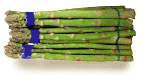 Asperge Plaatjes Gebonden Asperges