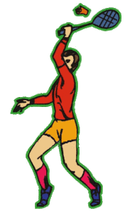 Badminton Plaatjes 