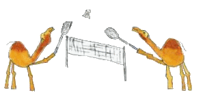 Badminton Plaatjes 