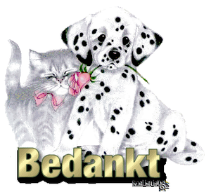 Bedankt Plaatjes Bedankt Dalmatier Poes