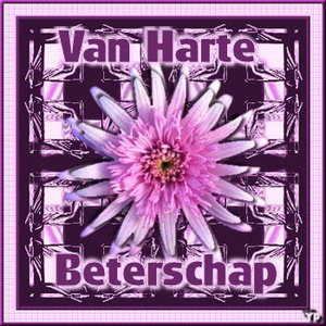 Plaatjes Beterschap 