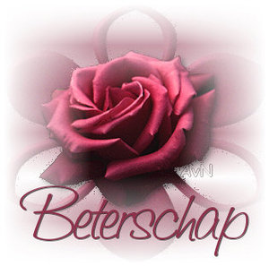 Plaatjes Beterschap Roos Met Beterschap