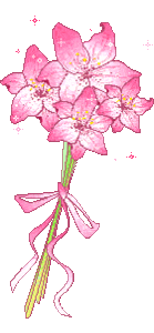 Bloemen Plaatjes 