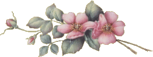 Bloemen Plaatjes 
