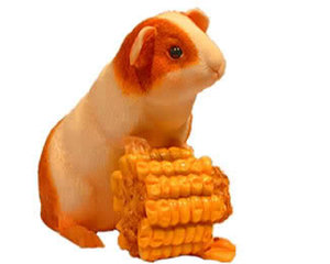 Cavia Plaatjes Cavia Met Mais