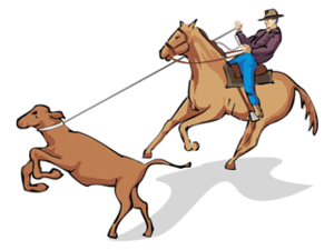Plaatjes Cowboy 